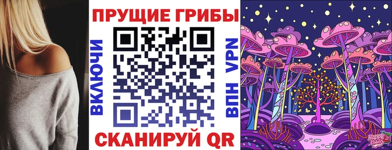 Псилоцибиновые грибы Psilocybe  Ахтубинск 